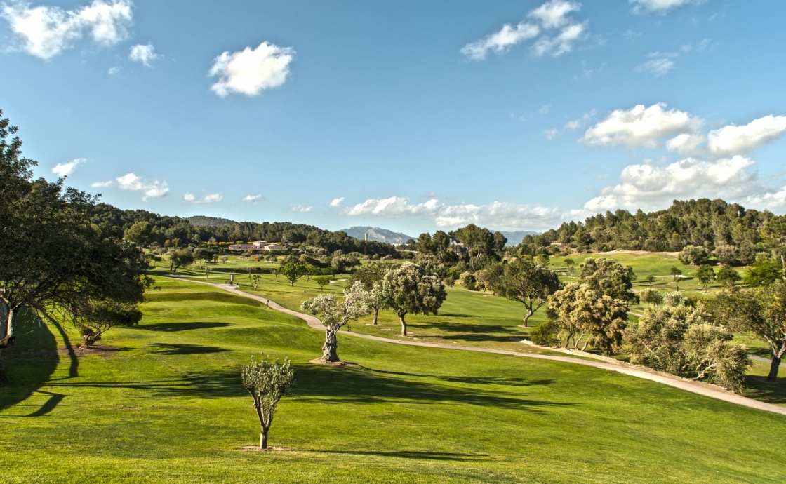 Disfruta del golf en los mejores campos de Mallorca