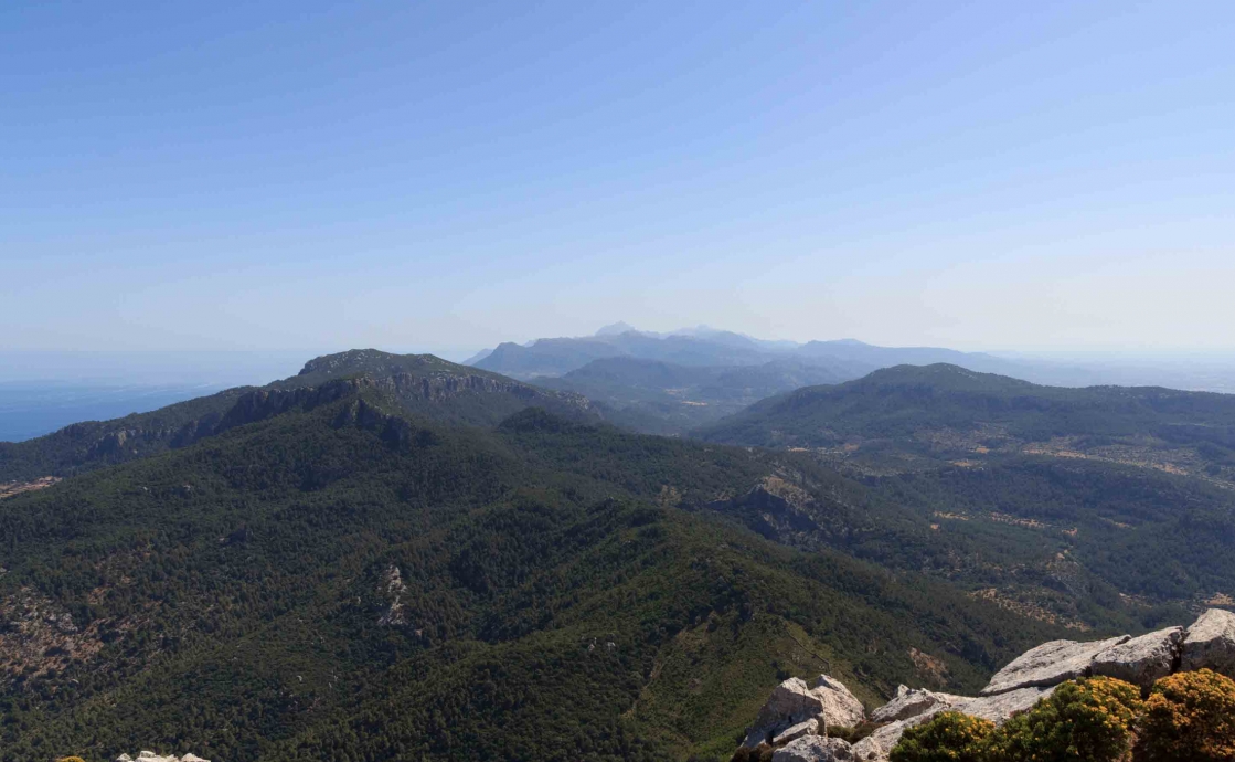 Outdoor-Ausflug mit Kindern in das Naturschutzgebiet Puig de Galatzó