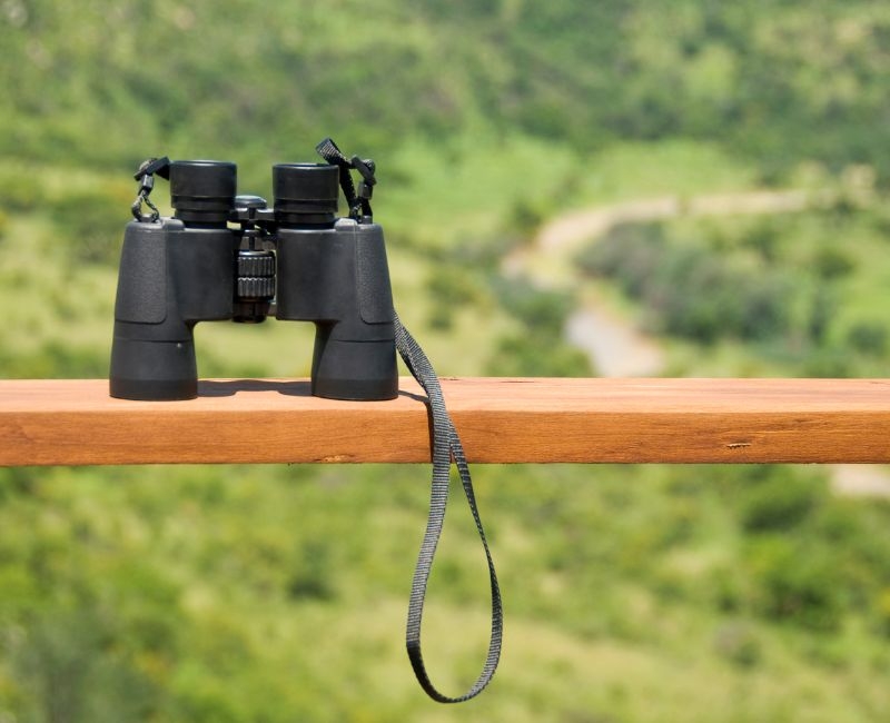 Birdwatching, los mejores lugares para observar a los pájaros