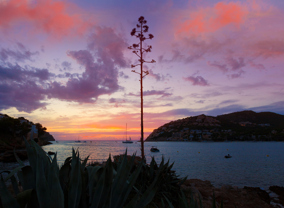 Día activo en familia en el suroeste de Mallorca