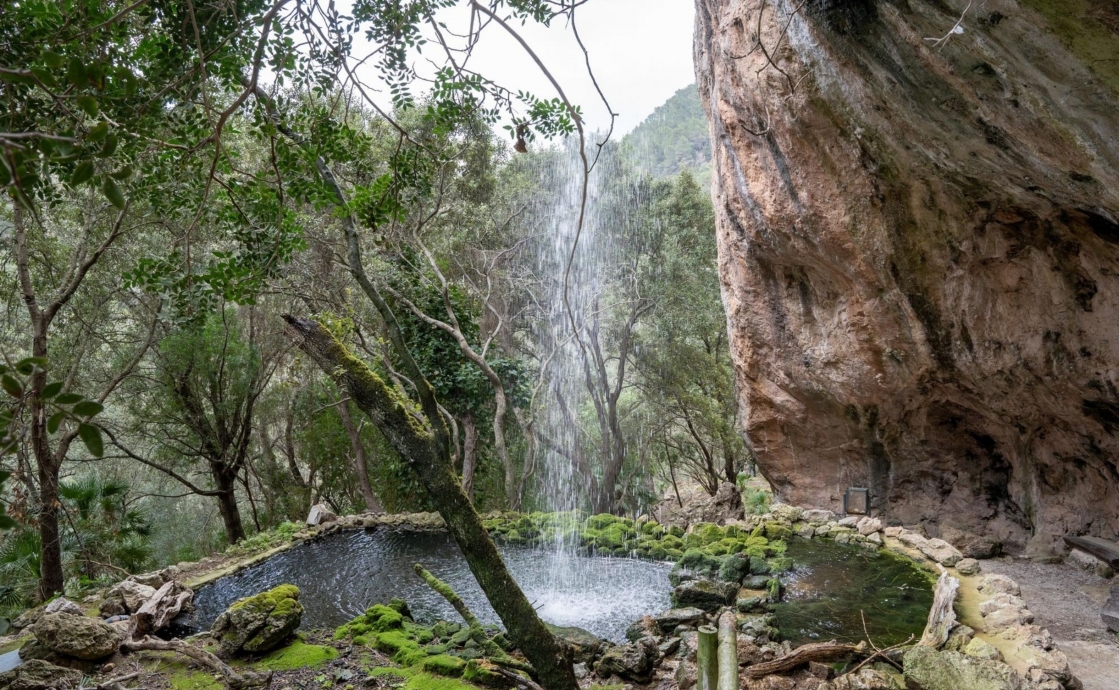 An Adventure with Kids: Galatzó Reserve