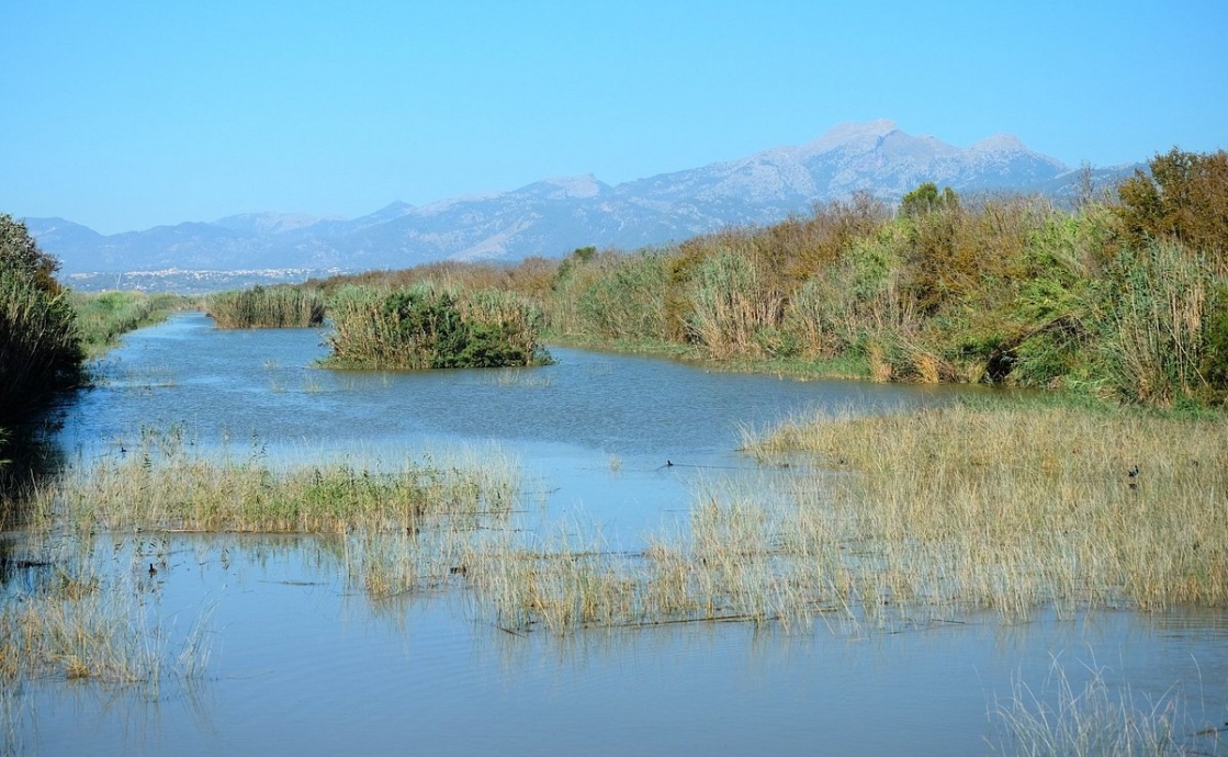 Motivos para visitar el Parque Natural de la Albufera con niños