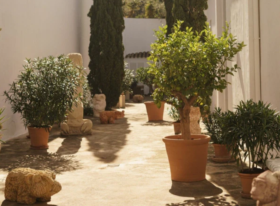 A cultural January in Andratx: contemporary art and creative calm at CCA Andratx