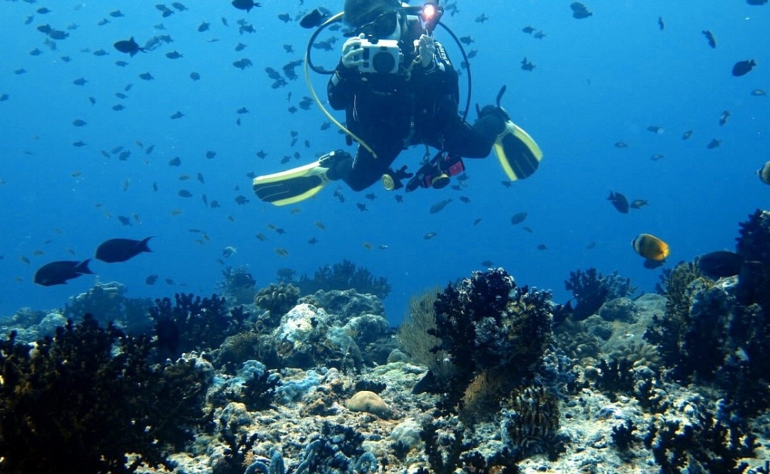 Diving experiences in mallorca: key tips for maximum enjoyment