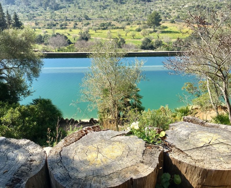 De visita a la finca de Raixa