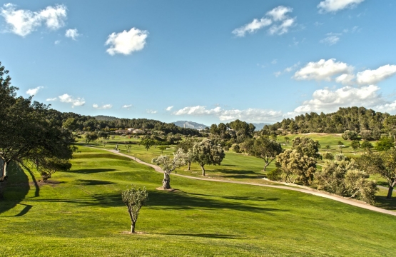 Disfruta del golf en los mejores campos de Mallorca