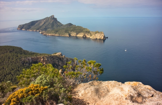 Excursión a Sa Dragonera: la reserva natural que corona el suroeste