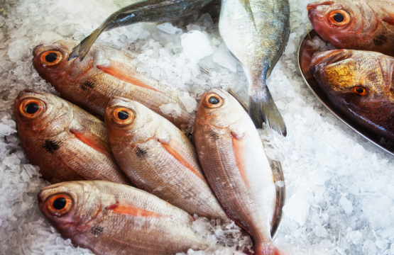 Der Fischmarkt im Hafen von Andratx: vom Kai direkt auf den Tisch