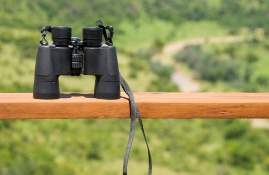 Birdwatching – die besten Stellen, um Vögel zu beobachten