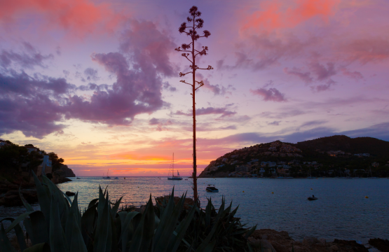 Día activo en familia en el suroeste de Mallorca
