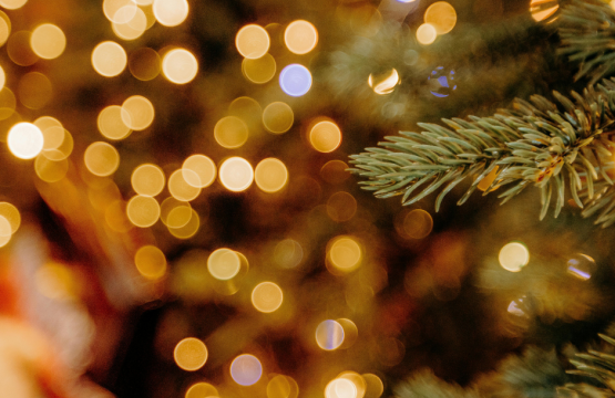 Luces y sabor mediterráneo: escapada gastronómica navideña en Port d'Andratx