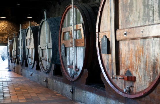 Herbstliche Weintour auf Mallorca: Wein und Tradition rund um Andratx