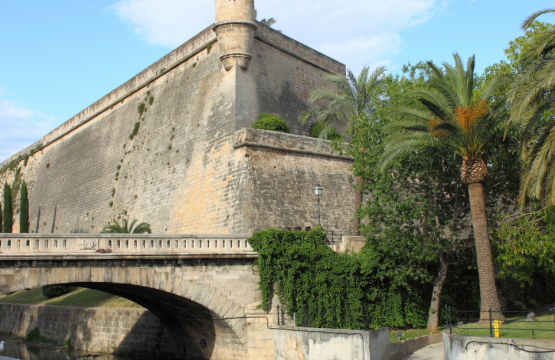 Kunst auf Mallorca: Museen, Galerien und kreative Orte für einen Sommer voller Inspiration