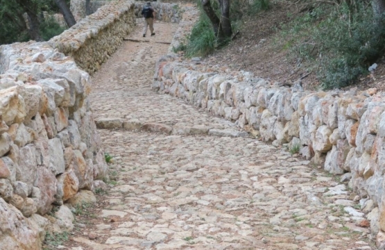 Los senderos más bonitos de la ruta de la pedra en sec de Mallorca