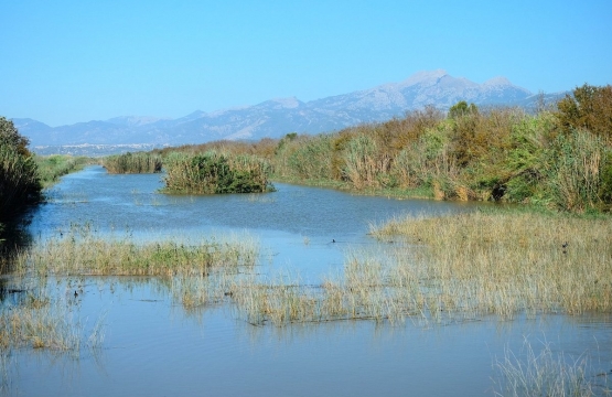 Gute Grunde um den naturpark albufera mit kindern zu besuchen