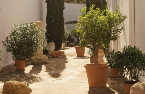 A cultural January in Andratx: contemporary art and creative calm at CCA Andratx