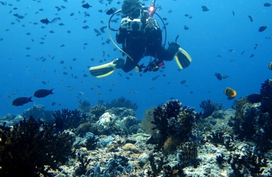 Diving experiences in mallorca: key tips for maximum enjoyment