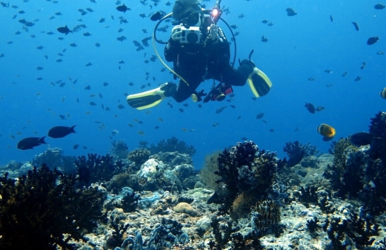 Experiencias de buceo en mallorca, claves para disfrutar al máximo